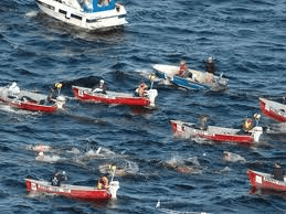 volgbootjes Lac St Jean